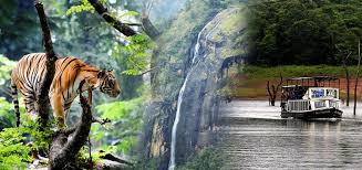 Thekkady The Wildlife Sanctuary